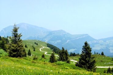 Rekonstrukce – zavřeno